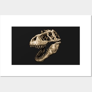 Dinosaur Skull Tyrannosaurus Rex 2 Posters and Art